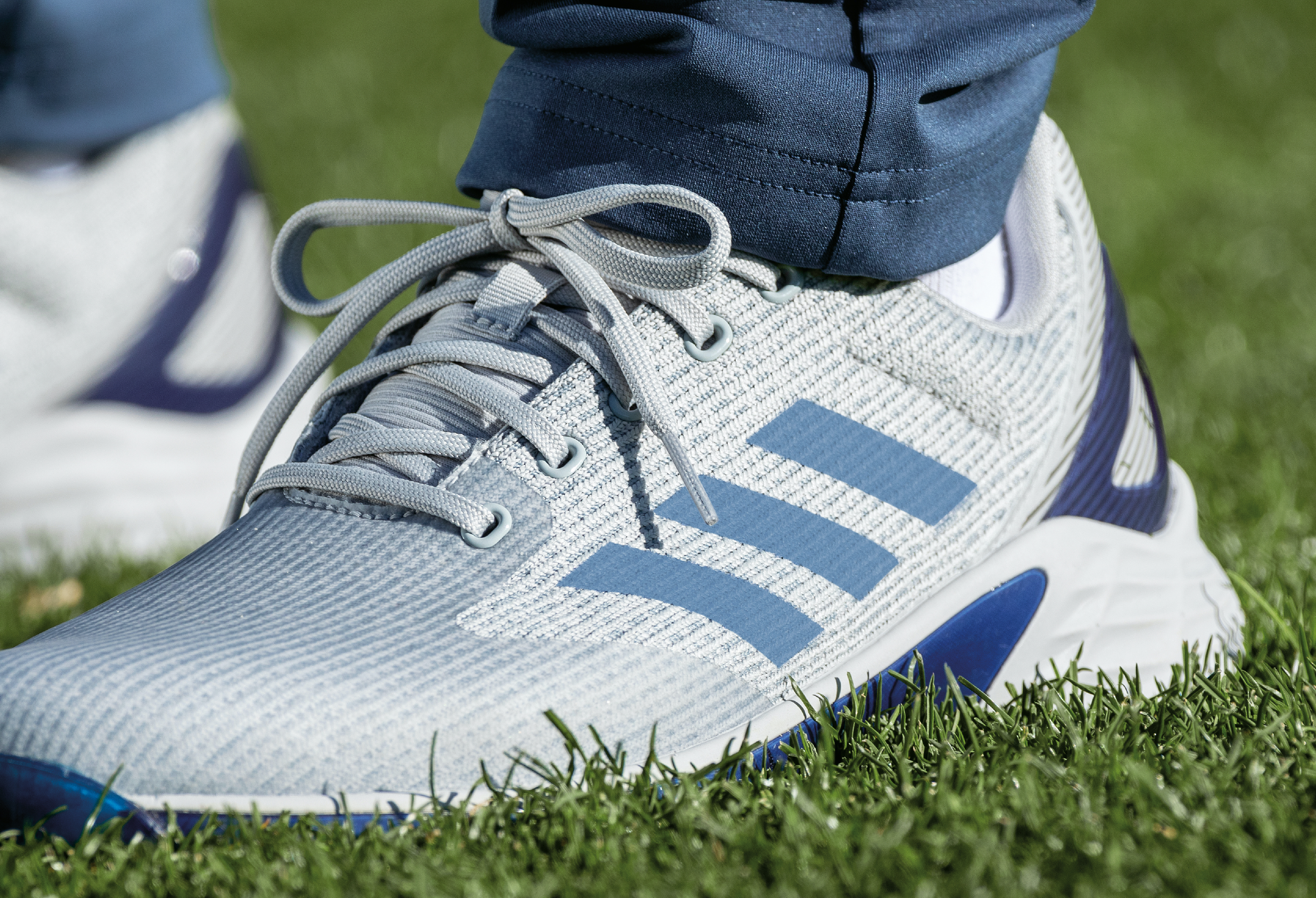 Adidas blue hot sale golf shoes